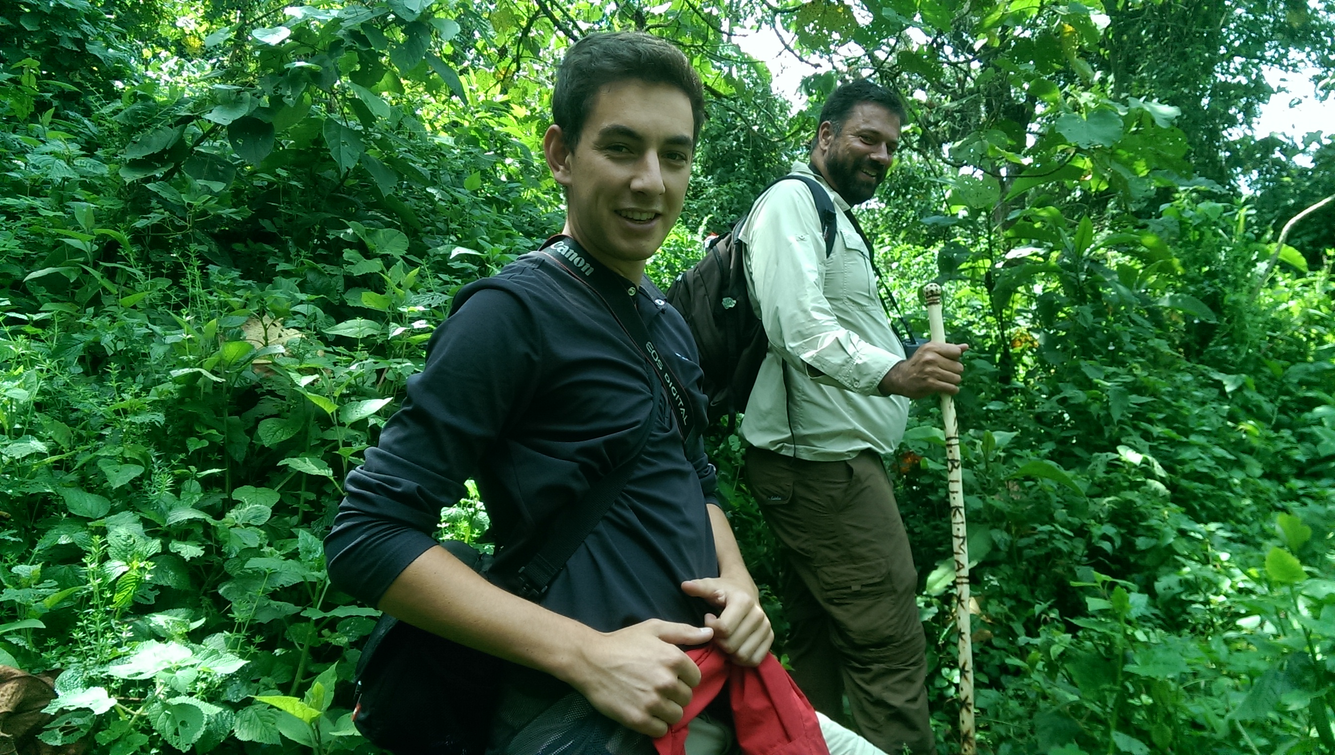 5 Days Kahuzi Biega Lowland Gorillas Kahuzi Biega National Park