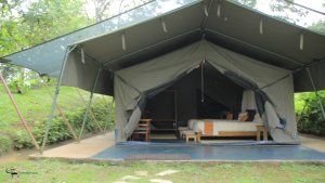 Kibumba tented camp 