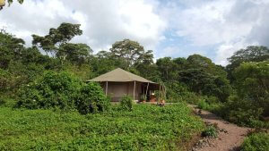 Virunga National Park Congo Bukima Camp outside view