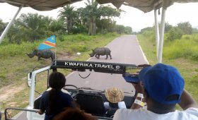 Travel to Congo Tracking the White Rhinoceros, Parc de la vallée de N'sele
