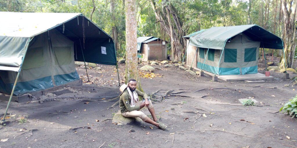 Mutsora tented camp, Congo's Rwenzori Hiking