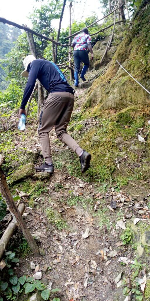Con go's Rwenzori Mountain hiking
