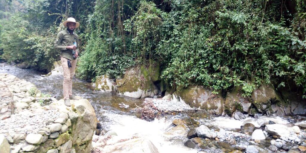 Congo's Rwenzori Mountain Hiking