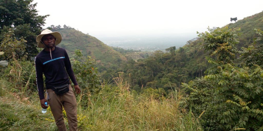 Congo's Rwenzori Mountain hiking (Vegetation)