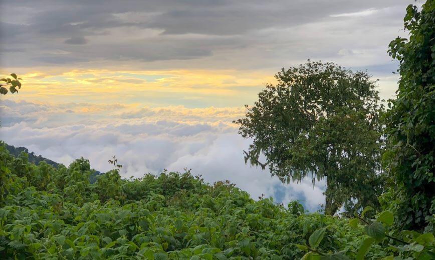 Congo's Rwenzori mountain panoramic views