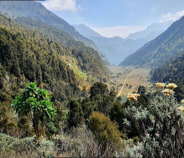 Congo's Rwenzori Mountain