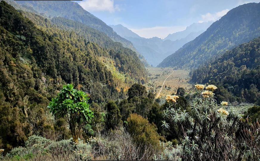 Congo's Rwenzori Mountain