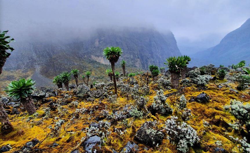 Congo's Rwenzori Mountain