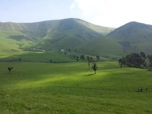 Masisi, aux environs de la ville de Goma