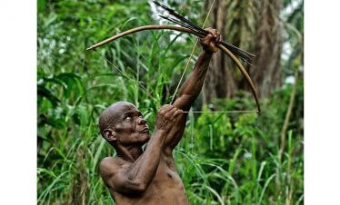 15 days Congo expedition DR Congo