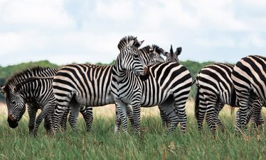 Visit Lubumbashi