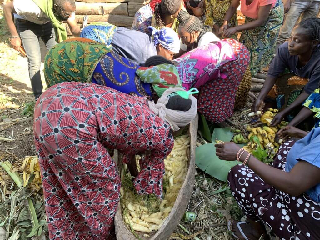 o Banana’s beer production Idjwi Island