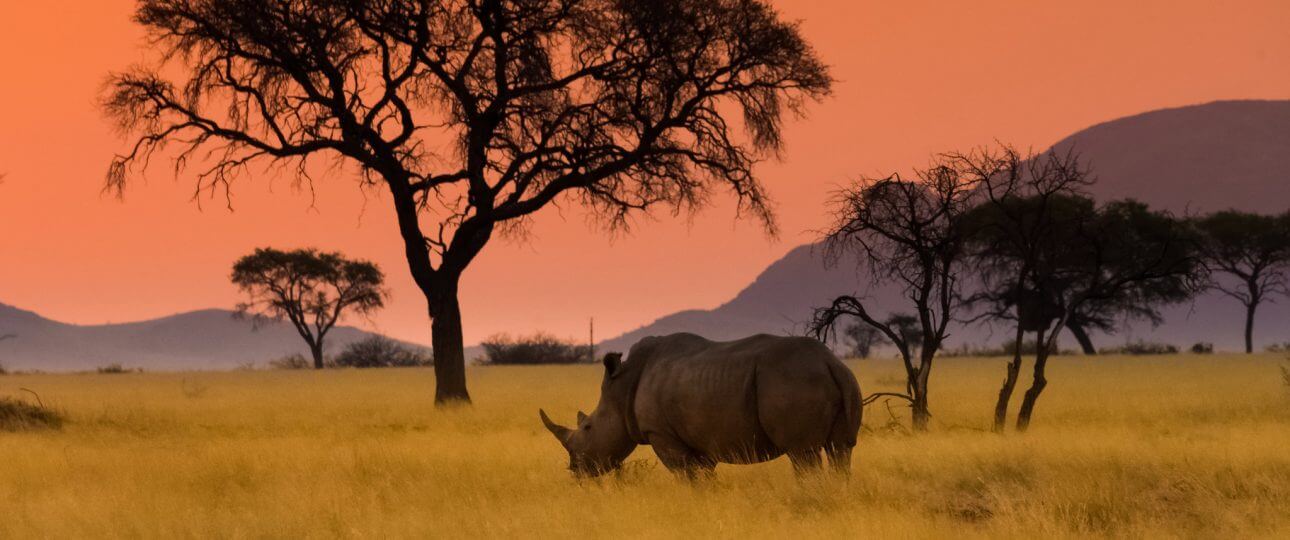 Congo Basin Destination Kwafrika Travel