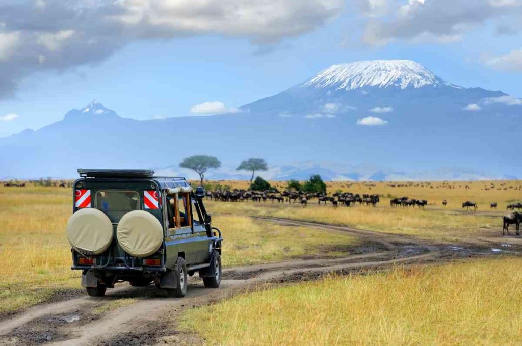 Tanzania Wildlife and Beach Safari, Kenya Safaris with Kwafrika Travel