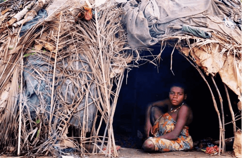 Gorillas, Forest Elephants & Ba’Aka Culture in Central African Republic