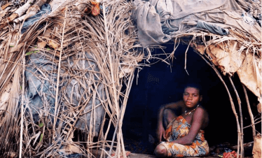 Gorillas, Forest Elephants & Ba’Aka Culture in Central African Republic