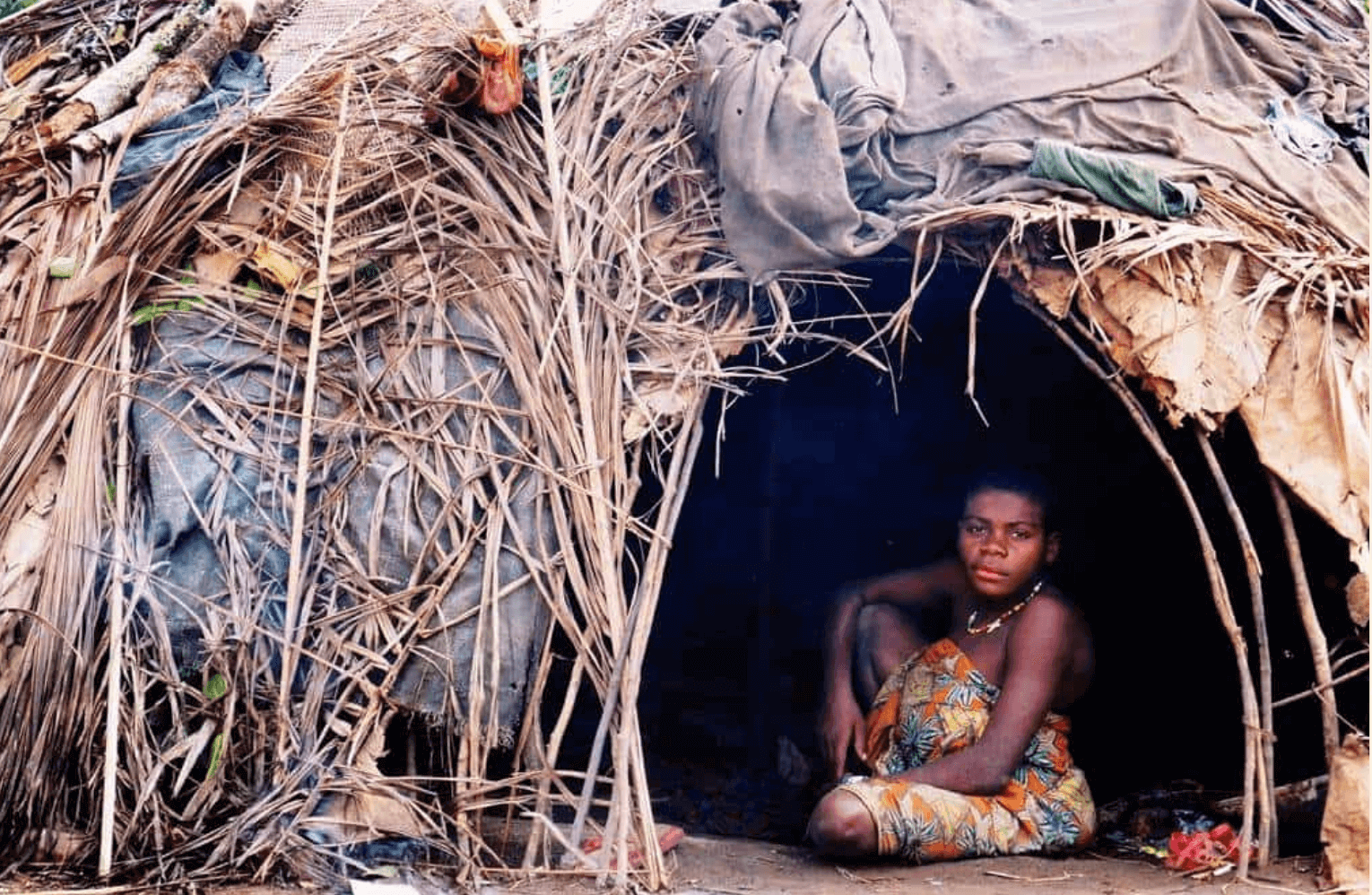 Gorillas, Forest Elephants & Ba’Aka Culture in Central African Republic