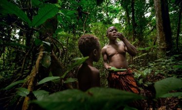 Right in the forest with Baka pygmies in Cameroon