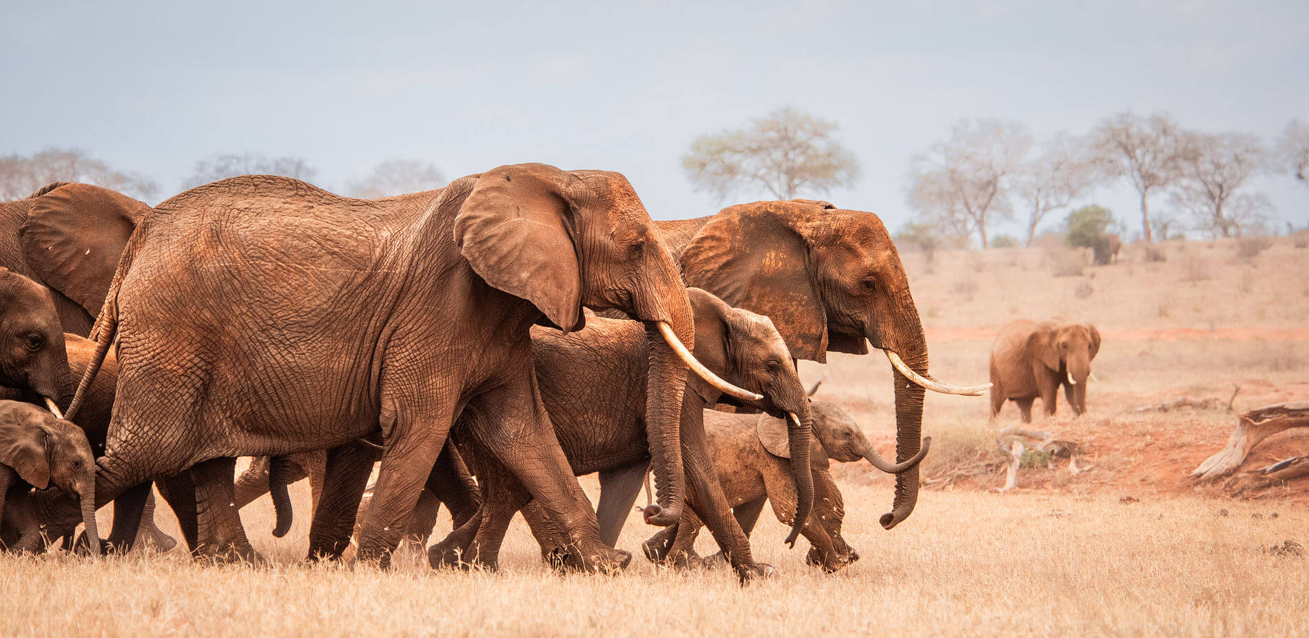 2 days Nairobi City Tour & National Park Safari – Wildlife & Culture Kwafrika Travel