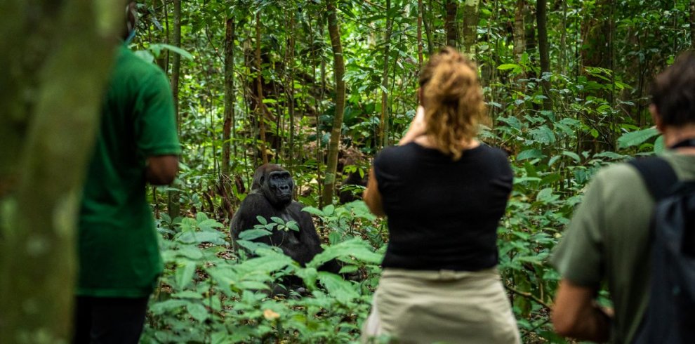 Gabon Tours & Travel with Kwafrika Travel