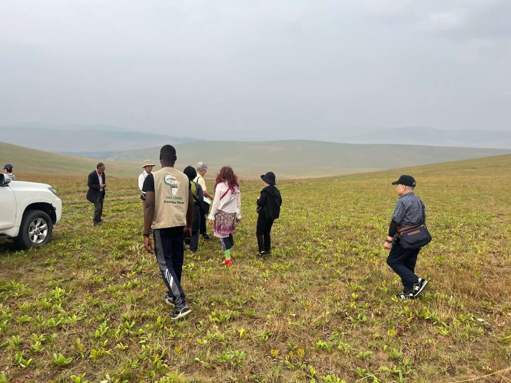 Lesio-Louna Gorilla Reserve Safari / Iboubuckro