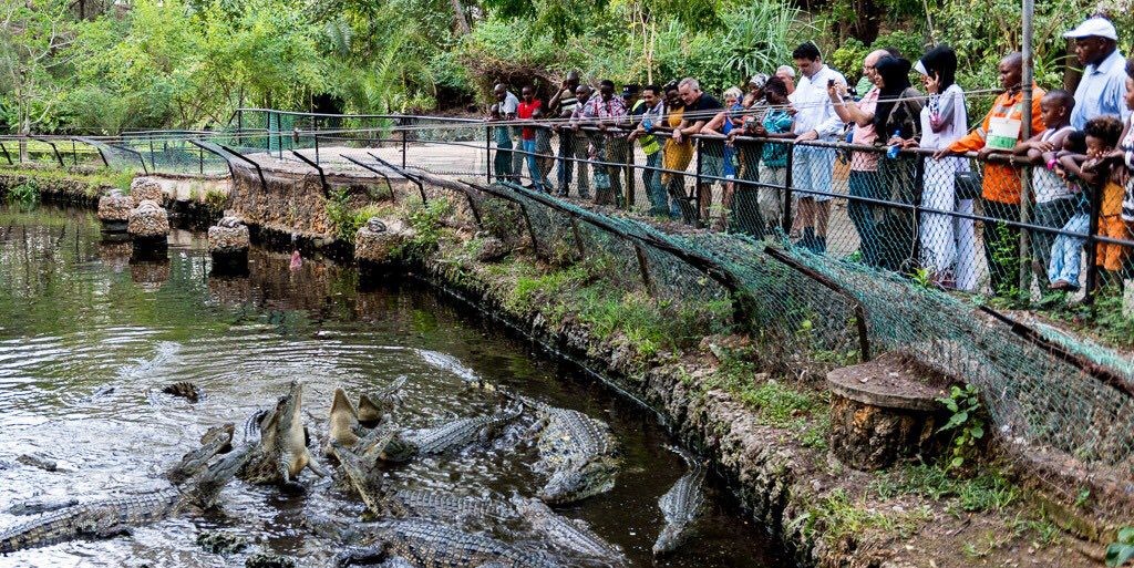 Haller Park, Kenya Safaris with Kwafrika Travel