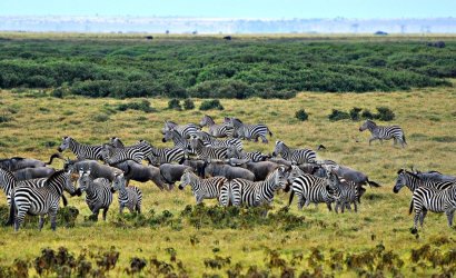 Tanzania tourism with Kwafrika Travel