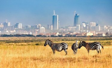 7-day Best of Kenya Adventure Safari