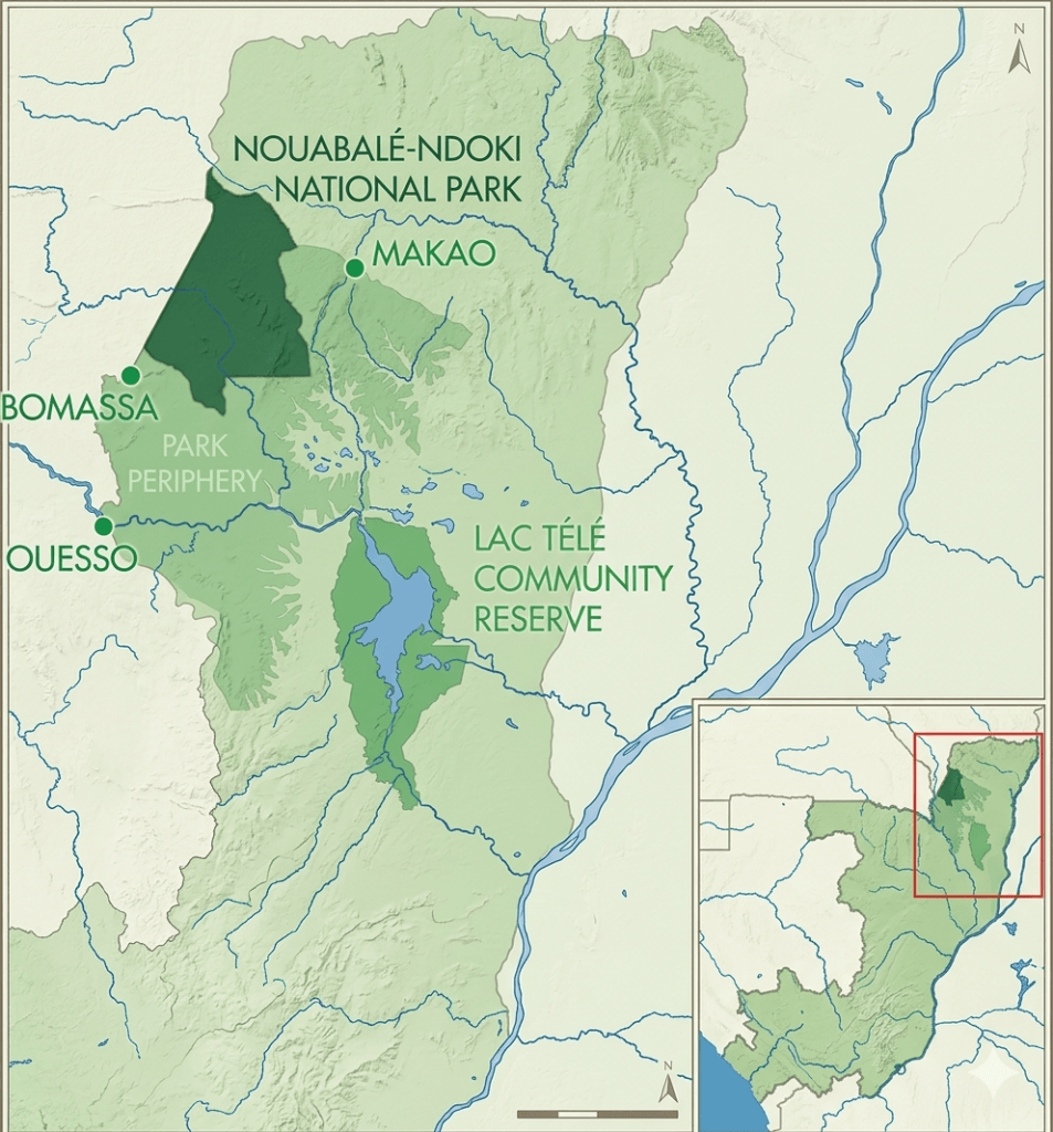 Nouabalé-Ndoki National Park safaris map of the park