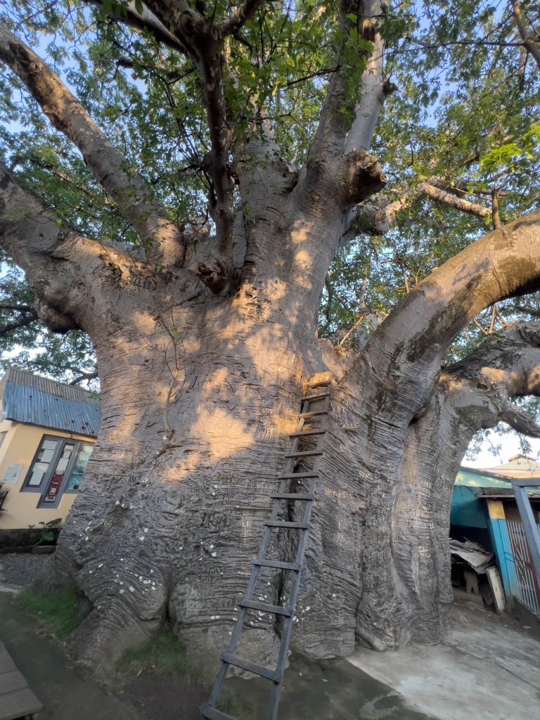 Visit Boma, Kwafrika Travel Stanley Baoba