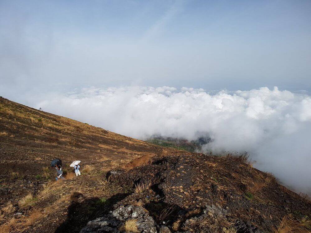 Eco-Tourism in the Congo Basin: Mount-Cameroon