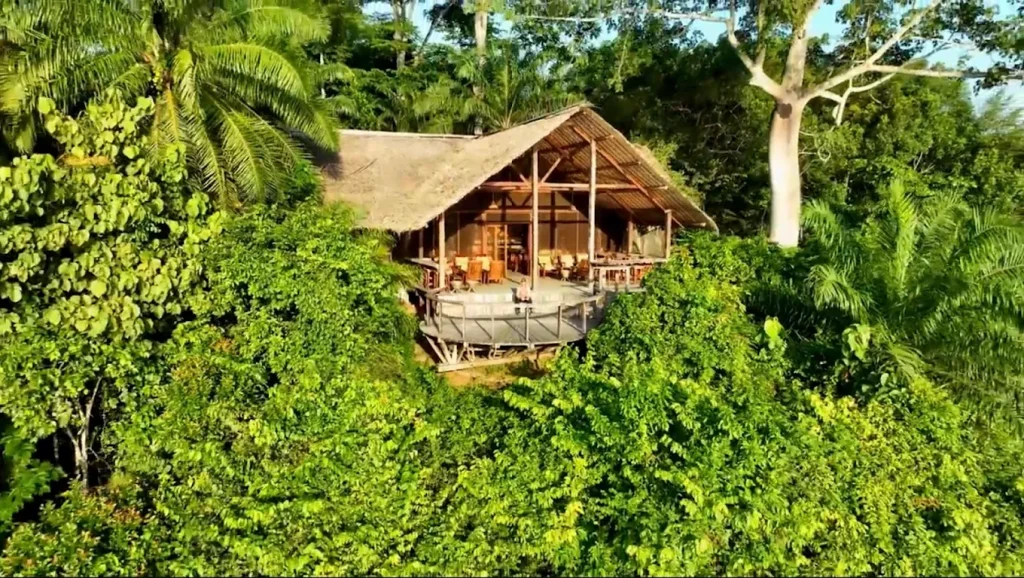 Dzanga Bai Safari:Sangha Lodge