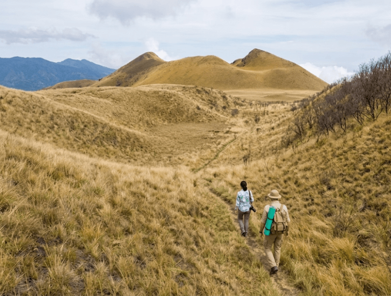 Why Cameroon: Mont cameroon