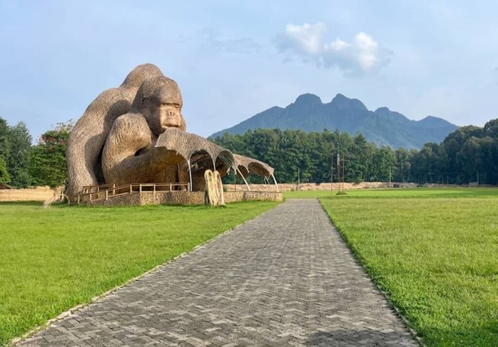Best Time to Visit Rwanda in Volcano National Park